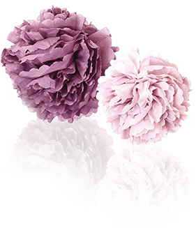 Blumen-Pompon